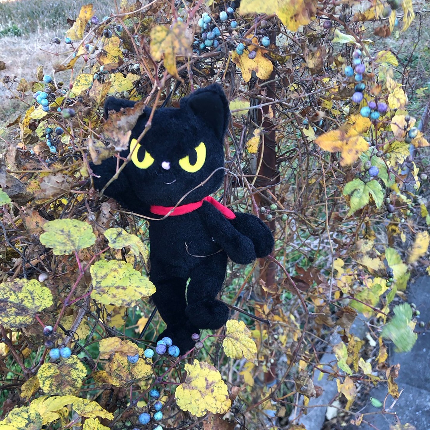 PJC ハッピーパック B 草花クロッチクロッチ小物 ディーモス のら猫クロッチぬいぐるみ